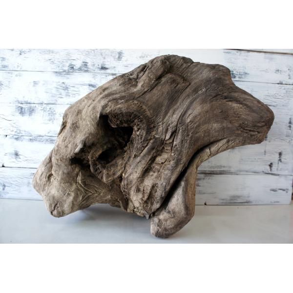 [Release date: July 26, 2022]インテリアの流木オブジェ　玄関、リビングなどの室内装飾としてカフェや店舗のディスプレイ　爬虫類、小動物等の登り木流木は洗浄、乾燥のみで一切の加工などは施しておりません。流木のみの販売...