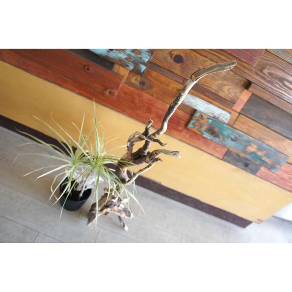 [Release date: August 30, 2022]インテリアの流木オブジェ　玄関、リビングなどの室内装飾としてカフェや店舗のディスプレイ　爬虫類、小動物等の登り木流木は洗浄、乾燥のみで一切の加工などは施しておりません。流木のみの...