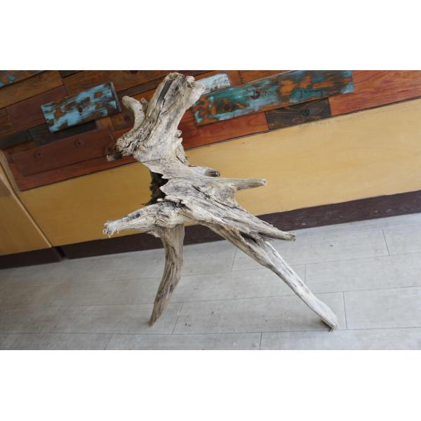 インテリア オブジェ おしゃれ 爬虫類 登り 木 流木 レイアウト