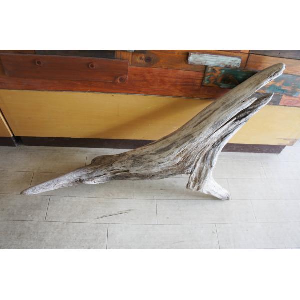 [Release date: September 16, 2025]インテリアの流木オブジェ　玄関、リビングなどの室内装飾としてカフェや店舗のディスプレイ　爬虫類、小動物等の登り木流木は洗浄、乾燥のみで一切の加工などは施しておりません。流木...