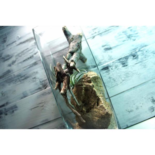 [Release date: April 22, 2021]爬虫類、昆虫の登り木　流木で飼育ケージ、水槽のレイアウトテラリウム、アクアテラリウムなどのディスプレイに本商品は洗浄、煮沸消毒、爬虫類や昆虫用としてあく抜き処理を行っております。※...