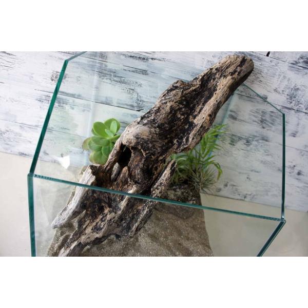 [Release date: May 14, 2019]爬虫類、昆虫の登り木　流木で飼育ケージ、水槽のレイアウトテラリウム、アクアテラリウムなどのディスプレイに本商品は洗浄、煮沸消毒、爬虫類や昆虫用としてあく抜き処理を行っております。※沈下...