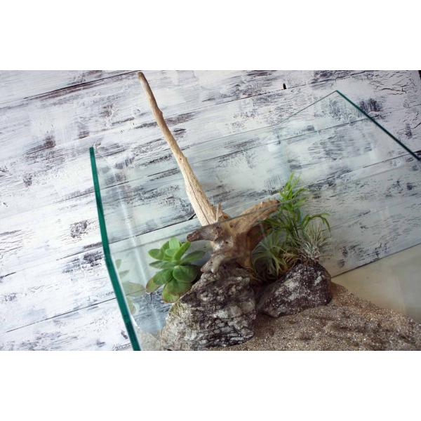 [Release date: April 22, 2021]爬虫類、昆虫の登り木　流木で飼育ケージ、水槽のレイアウトテラリウム、アクアテラリウムなどのディスプレイに本商品は洗浄、煮沸消毒、爬虫類や昆虫用としてあく抜き処理を行っております。※...