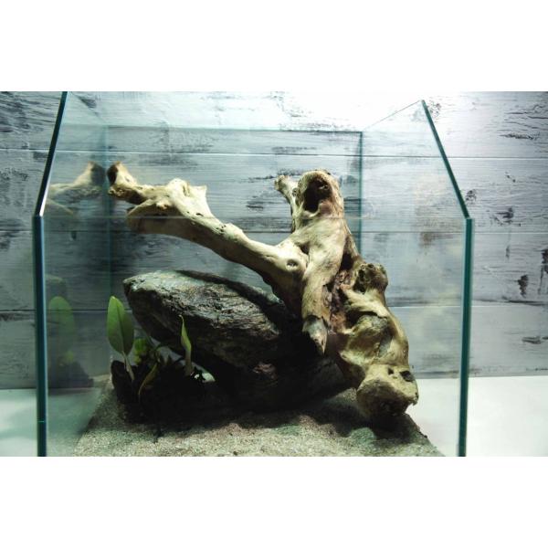 流木 爬虫類 登り木 飼育 あく抜き処理済 テラリウム 水槽 ケージ レイアウト 止まり木 ディスプレイ 昆虫 ペット 生き物 095 Dejapan 手数料０円で日本の商品を購買代行 落札代行