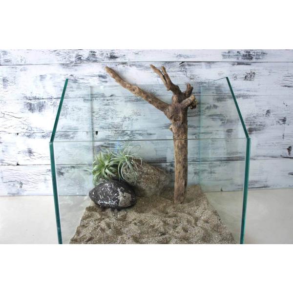 [Release date: July 23, 2020]爬虫類、昆虫の登り木　流木で飼育ケージ、水槽のレイアウトテラリウム、アクアテラリウムなどのディスプレイに本商品は洗浄、煮沸消毒、爬虫類や昆虫用としてあく抜き処理を行っております。※沈...