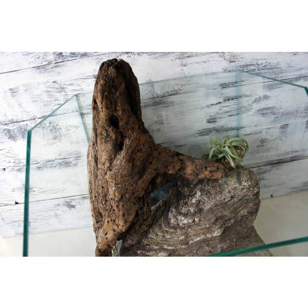 [Release date: August 8, 2020]爬虫類、昆虫の登り木　流木で飼育ケージ、水槽のレイアウトテラリウム、アクアテラリウムなどのディスプレイに本商品は洗浄、煮沸消毒、爬虫類や昆虫用としてあく抜き処理を行っております。※...