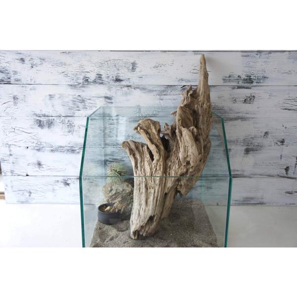 [Release date: October 28, 2020]爬虫類、昆虫の登り木　流木で飼育ケージ、水槽のレイアウトテラリウム、アクアテラリウムなどのディスプレイに本商品は洗浄、煮沸消毒、爬虫類や昆虫用としてあく抜き処理を行っております...