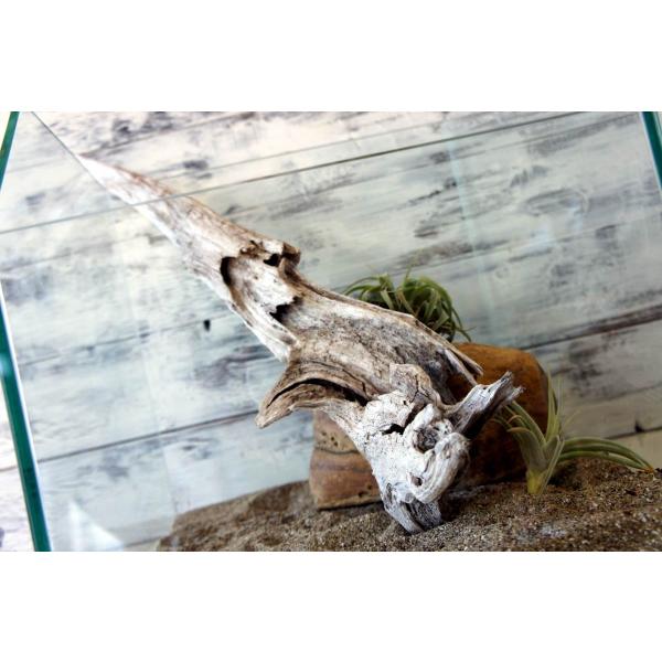 [Release date: January 21, 2022]爬虫類、昆虫の登り木　流木で飼育ケージ、水槽のレイアウトテラリウム、アクアテラリウムなどのディスプレイに本商品は洗浄、煮沸消毒、爬虫類や昆虫用としてあく抜き処理を行っております...
