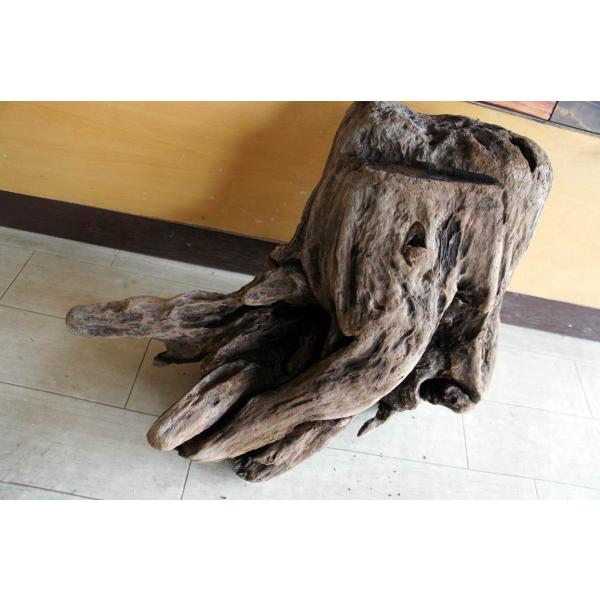 [Release date: July 11, 2022]爬虫類、昆虫の登り木　流木で飼育ケージ、水槽のレイアウトテラリウム、アクアテラリウムなどのディスプレイに本商品は洗浄、煮沸消毒、爬虫類や昆虫用としてあく抜き処理を行っております。※沈...