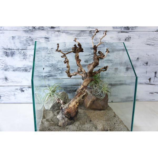 [Release date: December 16, 2022]爬虫類、昆虫の登り木　流木で飼育ケージ、水槽のレイアウトテラリウム、アクアテラリウムなどのディスプレイに本商品は洗浄、煮沸消毒、爬虫類や昆虫用としてあく抜き処理を行っておりま...