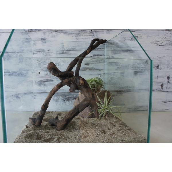 [Release date: July 20, 2023]爬虫類、昆虫の登り木　流木で飼育ケージ、水槽のレイアウトテラリウム、アクアテラリウムなどのディスプレイに本商品は洗浄、煮沸消毒、爬虫類や昆虫用としてあく抜き処理を行っております。※沈...