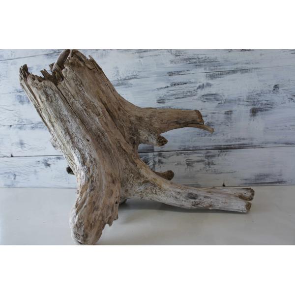 [Release date: July 21, 2023]爬虫類、昆虫の登り木　流木で飼育ケージ、水槽のレイアウトテラリウム、アクアテラリウムなどのディスプレイに本商品は洗浄、煮沸消毒、爬虫類や昆虫用としてあく抜き処理を行っております。※沈...