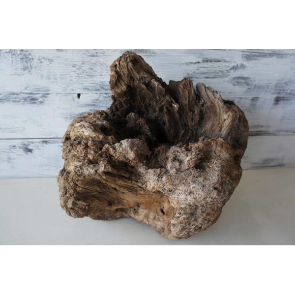[Release date: July 21, 2023]爬虫類、昆虫の登り木　流木で飼育ケージ、水槽のレイアウトテラリウム、アクアテラリウムなどのディスプレイに本商品は洗浄、煮沸消毒、爬虫類や昆虫用としてあく抜き処理を行っております。※沈...