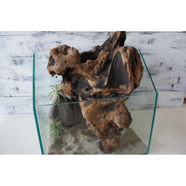 [Release date: September 21, 2023]爬虫類、昆虫の登り木　流木で飼育ケージ、水槽のレイアウトテラリウム、アクアテラリウムなどのディスプレイに本商品は洗浄、煮沸消毒、爬虫類や昆虫用としてあく抜き処理を行っており...
