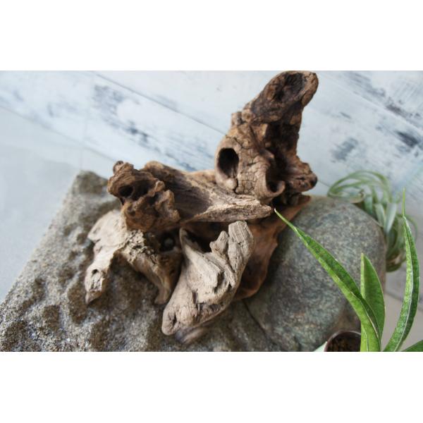 [Release date: November 9, 2024]爬虫類、昆虫の登り木　流木で飼育ケージ、水槽のレイアウトテラリウム、アクアテラリウムなどのディスプレイに本商品は洗浄、煮沸消毒、爬虫類や昆虫用としてあく抜き処理を行っております...