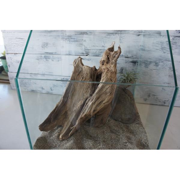 [Release date: December 11, 2024]爬虫類、昆虫の登り木　流木で飼育ケージ、水槽のレイアウトテラリウム、アクアテラリウムなどのディスプレイに本商品は洗浄、煮沸消毒、爬虫類や昆虫用としてあく抜き処理を行っておりま...