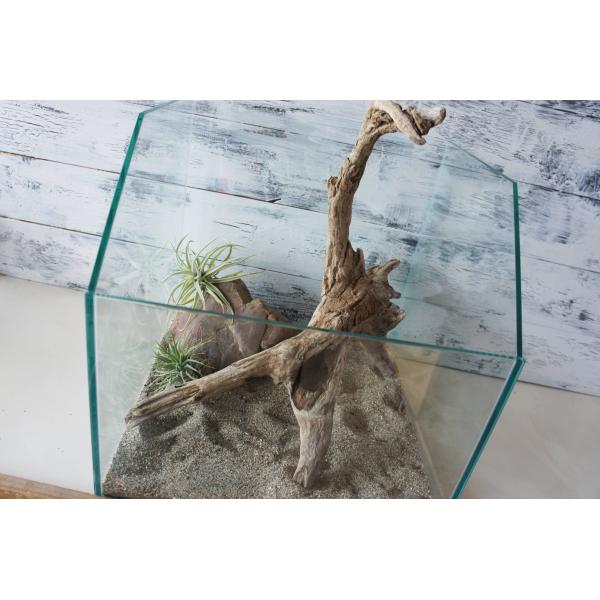 [Release date: June 21, 2025]爬虫類、昆虫の登り木　流木で飼育ケージ、水槽のレイアウトテラリウム、アクアテラリウムなどのディスプレイに本商品は洗浄、煮沸消毒、爬虫類や昆虫用としてあく抜き処理を行っております。※沈...