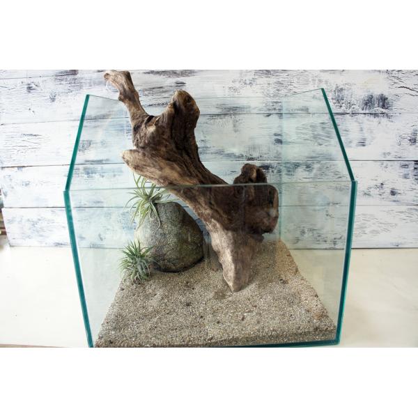 [Release date: August 9, 2025]爬虫類、昆虫の登り木　流木で飼育ケージ、水槽のレイアウトテラリウム、アクアテラリウムなどのディスプレイに本商品は洗浄、煮沸消毒、爬虫類や昆虫用としてあく抜き処理を行っております。※...