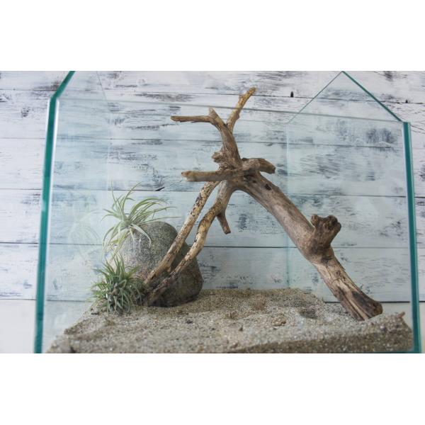 [Release date: August 9, 2025]爬虫類、昆虫の登り木　流木で飼育ケージ、水槽のレイアウトテラリウム、アクアテラリウムなどのディスプレイに本商品は洗浄、煮沸消毒、爬虫類や昆虫用としてあく抜き処理を行っております。※...