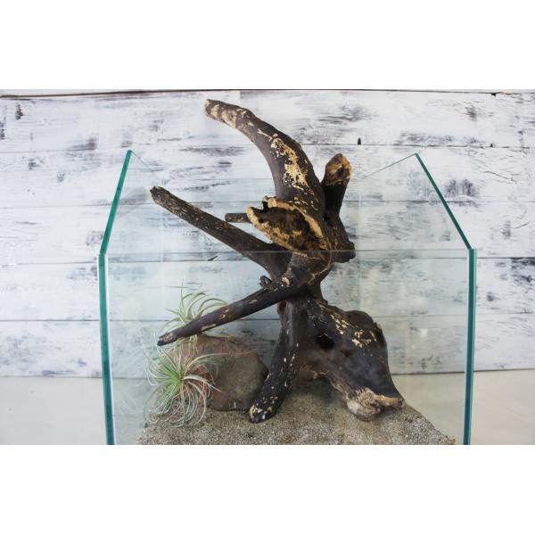 [Release date: August 18, 2025]爬虫類、昆虫の登り木　流木で飼育ケージ、水槽のレイアウトテラリウム、アクアテラリウムなどのディスプレイに本商品は洗浄、煮沸消毒、爬虫類や昆虫用としてあく抜き処理を行っております。...