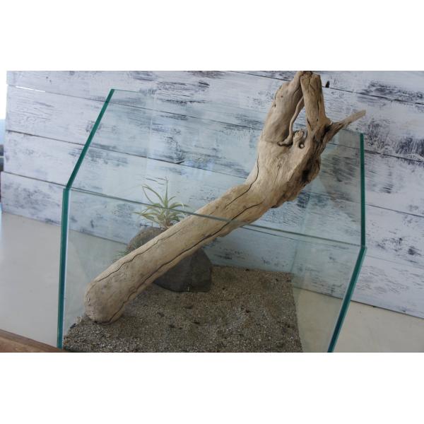 [Release date: September 8, 2025]爬虫類、昆虫の登り木　流木で飼育ケージ、水槽のレイアウトテラリウム、アクアテラリウムなどのディスプレイに本商品は洗浄、煮沸消毒、爬虫類や昆虫用としてあく抜き処理を行っておりま...