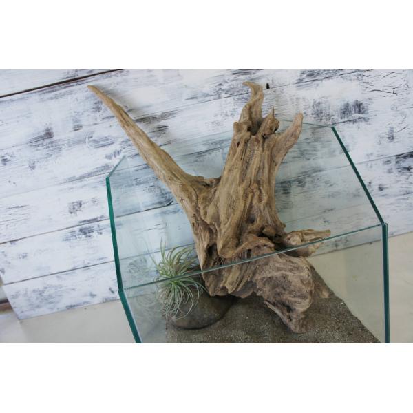 [Release date: October 11, 2025]爬虫類、昆虫の登り木　流木で飼育ケージ、水槽のレイアウトテラリウム、アクアテラリウムなどのディスプレイに本商品は洗浄、煮沸消毒、爬虫類や昆虫用としてあく抜き処理を行っております...