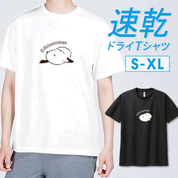Tシャツ ドライTシャツ 速乾 吸汗 スポーツ ホワイト ブラック