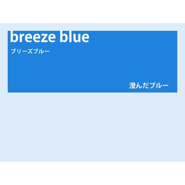 カラーレンズ ブリーズブルー グラデーション LENS-BZBL-G : WOODNET