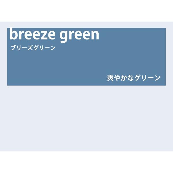 カラーレンズ ブリーズグリーン フルカラー LENS-BZGN-F : WOODNET