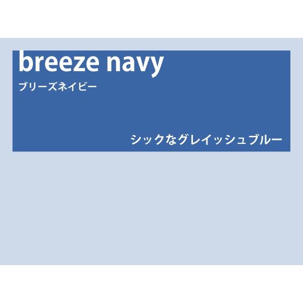カラーレンズ ブリーズネイビー グラデーション LENS-BZNV-G : WOODNET