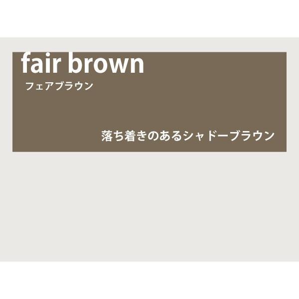 カラーレンズ フェアブラウン フルカラー LENS-FABR-F : WOODNET 