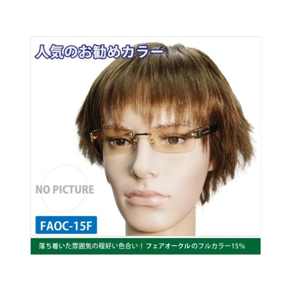 カラーレンズ フェアオークル フルカラー Lens Faoc ｆ Buyee Buyee 提供一站式最全面最專業現地yahoo Japan拍賣代bid代拍代購服務 Bot Online