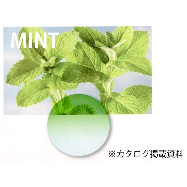 カラーレンズ ミント ツインカラー LENS-MINT-T : WOODNET - 通販
