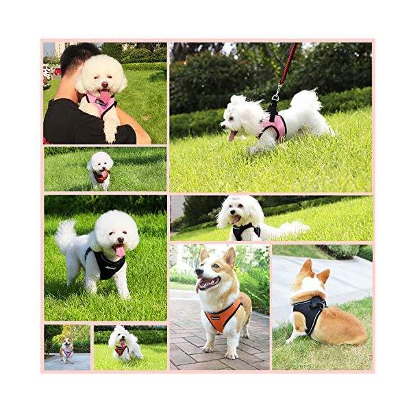 メッシュハーネス 犬猫の胴輪 中型犬 小型犬 チワワ 柴犬 おしゃれ 抜けない 安全リードセット M オレンジorange Buyee Buyee Japanese Proxy Service Buy From Japan Bot Online