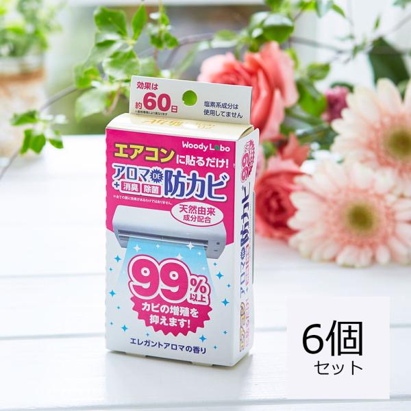 エアコン 消臭 カビ防止 消臭剤 防カビ剤 臭い対策  部屋 芳香剤 アロマDE防カビ エレガントアロマ6個 アロマ入り カビきれい 貼るだけ 清潔 リビング 公式
