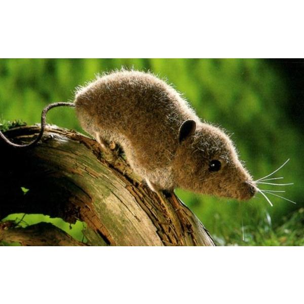 ケーセン とがりねずみ ケーセン 動物 出産祝い 誕生日 赤ちゃん ベビー 1歳 2歳 3歳 ぬいぐるみ A0040 110 木のおもちゃ ウッディモンキー 通販 Yahoo ショッピング