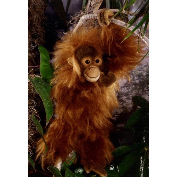 オランウータン ぬいぐるみの人気商品 通販 価格比較 価格 Com