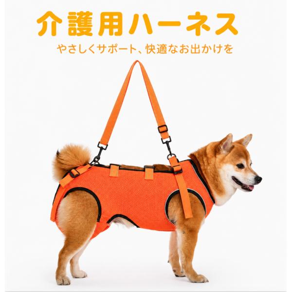 【新登場】介護用ハーネス 犬 歩行補助 犬用 ハーネス 介護 老犬 シニア犬 大型犬 リード 後ろ足補助 サポーター サポート用品 小型犬 中型犬 メッシュ追加