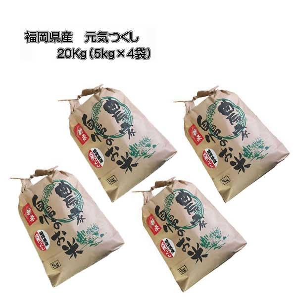 night　福岡県産「元気つくし」令和５年産　玄米20kg nojojojojo商品 福岡県産「元気つくし」令和5年産 玄米20kg 〇
