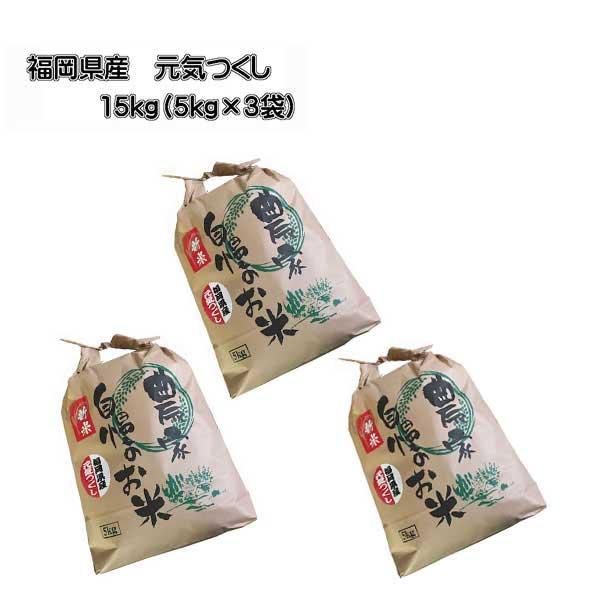 5kg 3袋セット　元気つくし　新米　お米　15kg 5kg 3袋セット 元気つくし 新米 お米 15kg