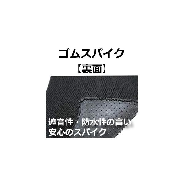 work_toyota-roomy-tank-sw-bas_4