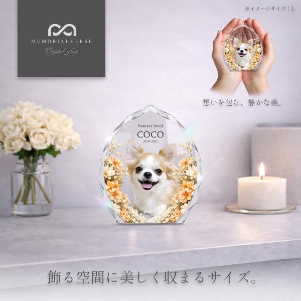 �y�b�g �ʔv �y�b�g�ʔv �N���X�^���ʔv �ʐ^ ������ ���b�Z�[�W �� �L �N���X�^���K���X �y�b�g���� ������� �N���X�^ �I�[�_�[���C�h ���{�� ���i�摜2