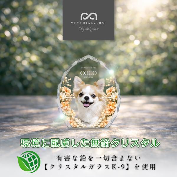 �y�b�g �ʔv �y�b�g�ʔv �N���X�^���ʔv �ʐ^ ������ ���b�Z�[�W �� �L �N���X�^���K���X �y�b�g���� ������� �N���X�^ �I�[�_�[���C�h ���{�� ���i�摜3