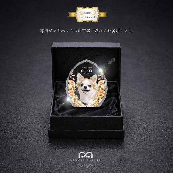 �y�b�g �ʔv �y�b�g�ʔv �N���X�^���ʔv �ʐ^ ������ ���b�Z�[�W �� �L �N���X�^���K���X �y�b�g���� ������� �N���X�^ �I�[�_�[���C�h ���{�� ���i�摜5