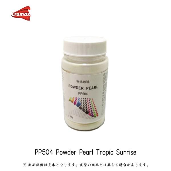 �A�N�T���^ �N���}�b�N�X�p�E�_�[�p�[�� PP504 �g���s�b�N�T�����C�Y 25g ���