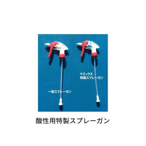 P~bNX pIvVi TN _pXv[K  