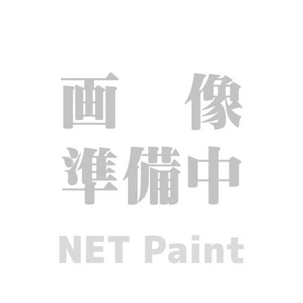 関西ペイント 782-415 プラスチックアジテーターカバー 1L用(クワ型