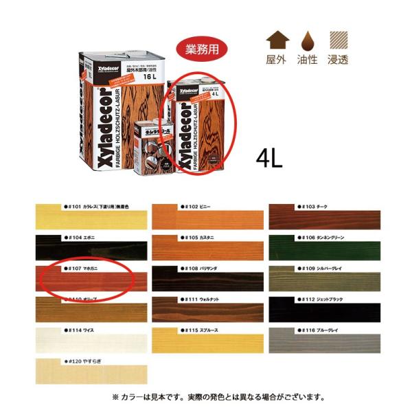 KXP~J LVfR[ #107 }zKj 4L 