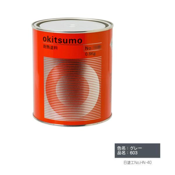 ILc ϔMx600 603 X^_[hJ[cO[ 1kg  