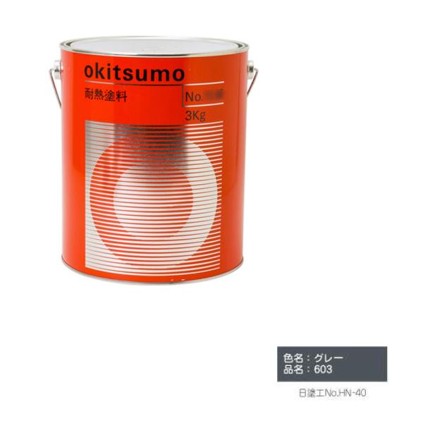 ILc ϔMx600 603 X^_[hJ[cO[ 4kg  